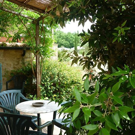Agriturismo Apparita Montecastelli Pisano 객실 사진